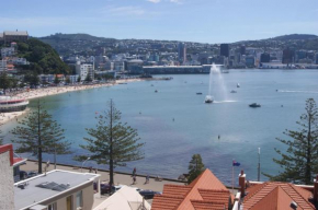 Oriental Bay At Its Best, Wellington